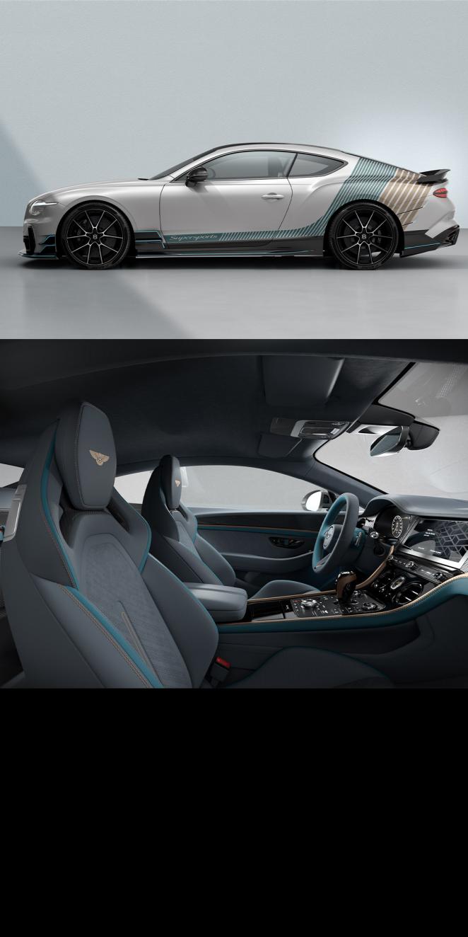 Side profile and front cross cabin of the Snowstorm specification