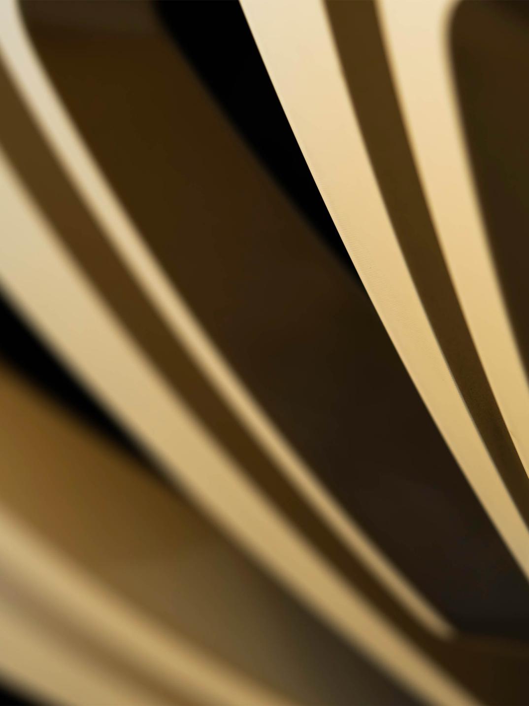 Gold Wheel- Verticle.jpg