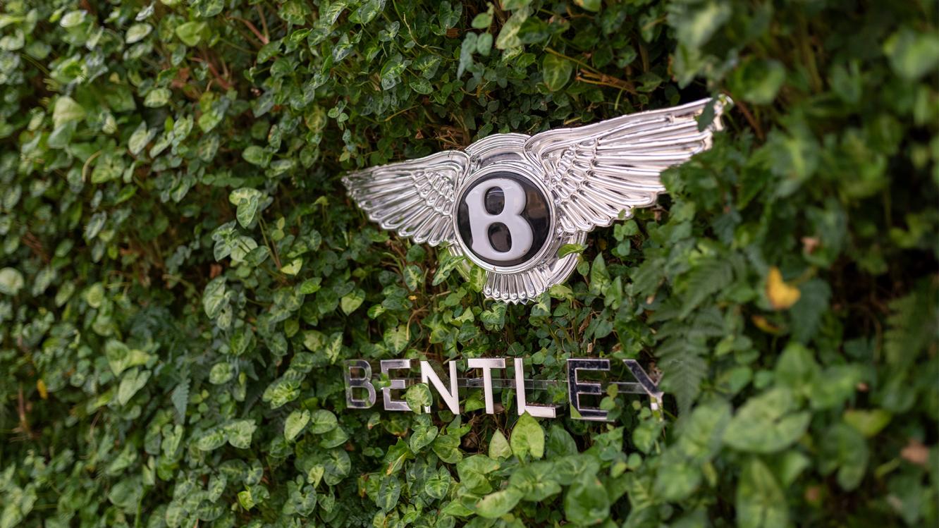 Bentley logo fixed to a living wall in an official bentley retailer