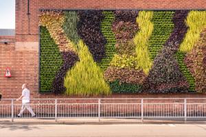 Bentley colleague walking past the living wall at the home of Bentley in Crewe