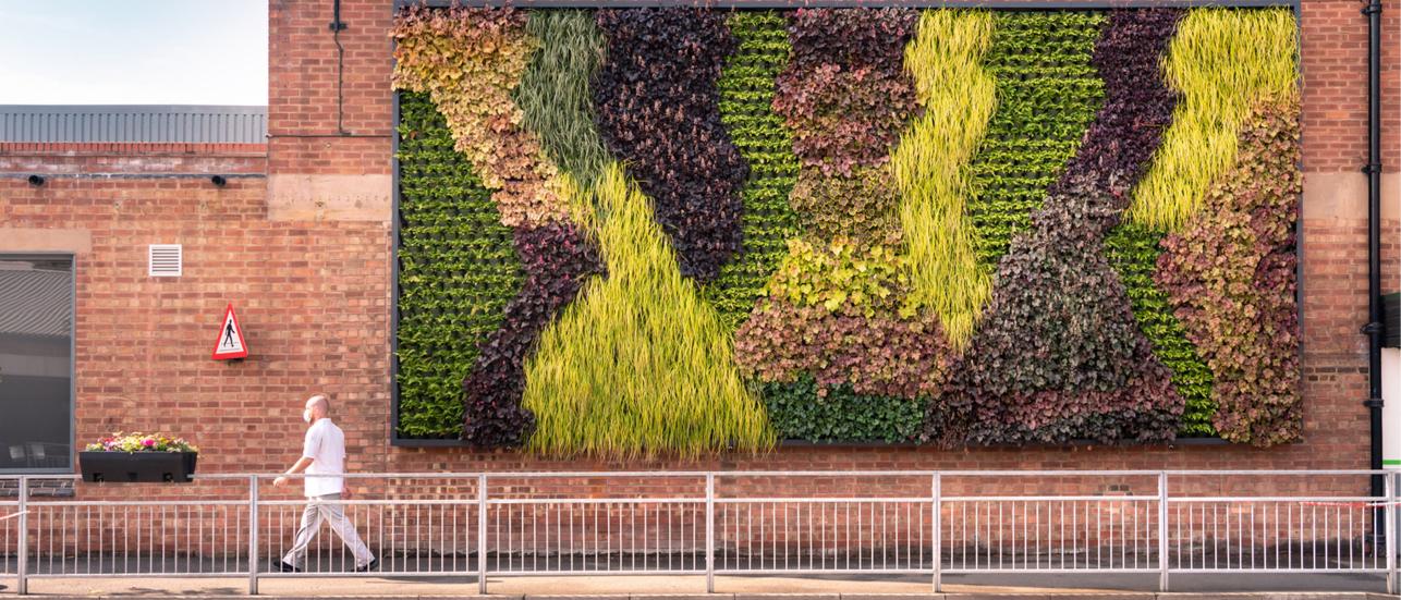 Bentley colleague walking past the living wall at the home of Bentley in Crewe