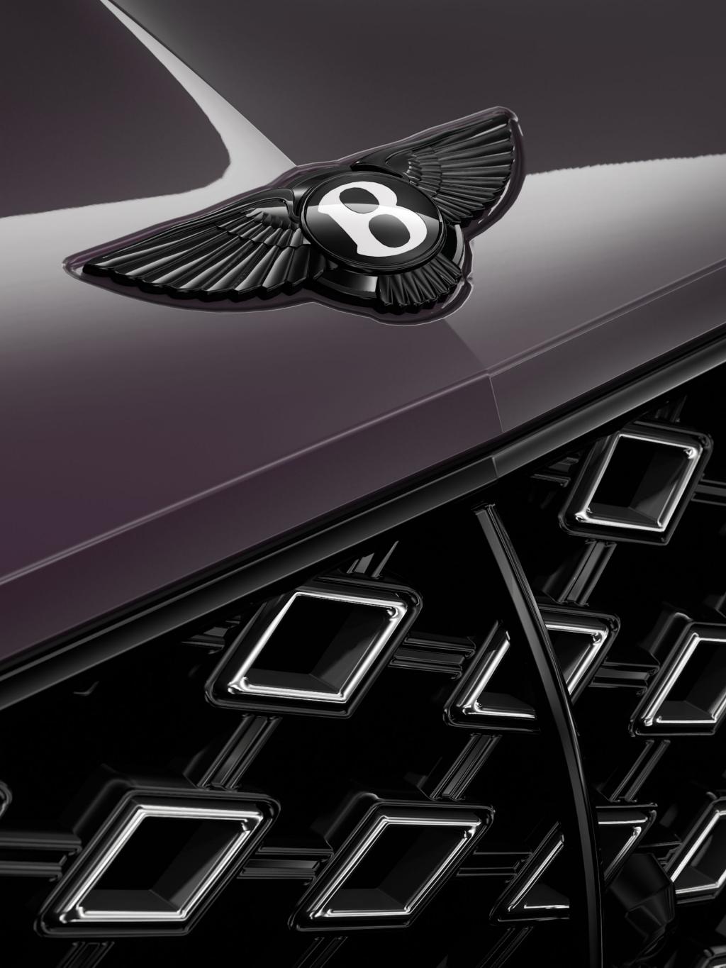 Individual/Woman/Lady posing for a photograph.