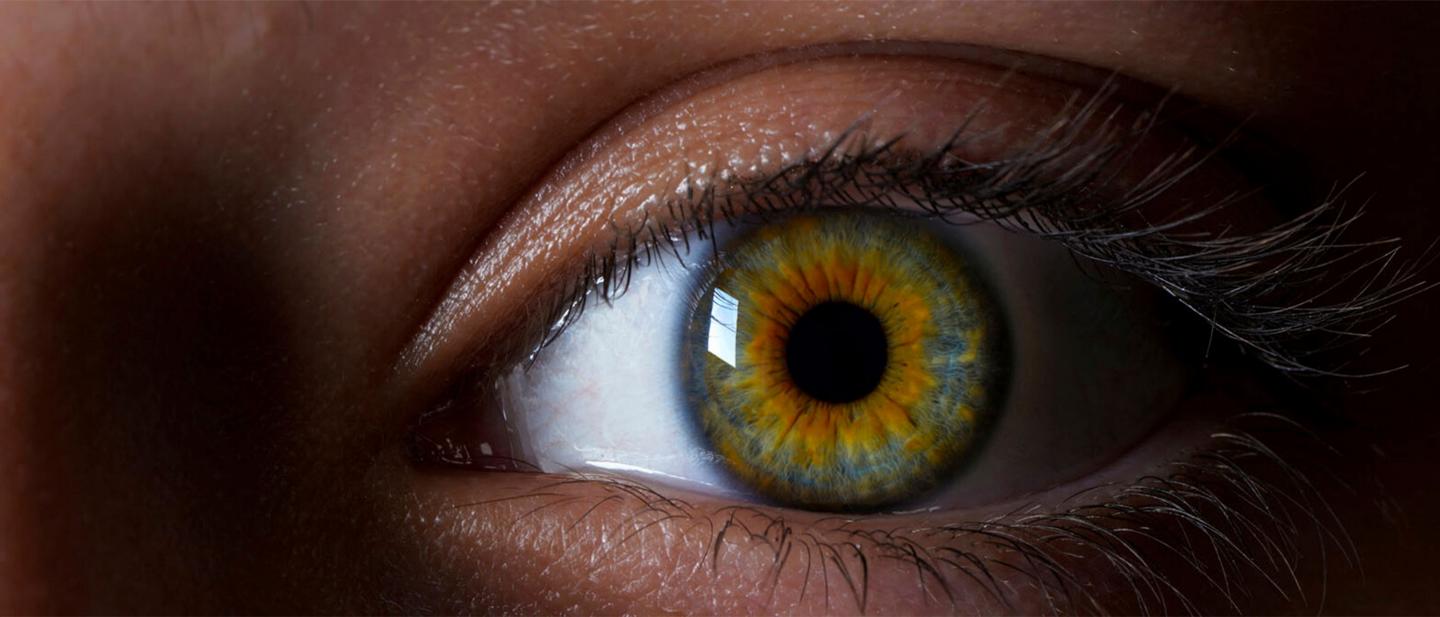 Colour your imagination AT.jpg