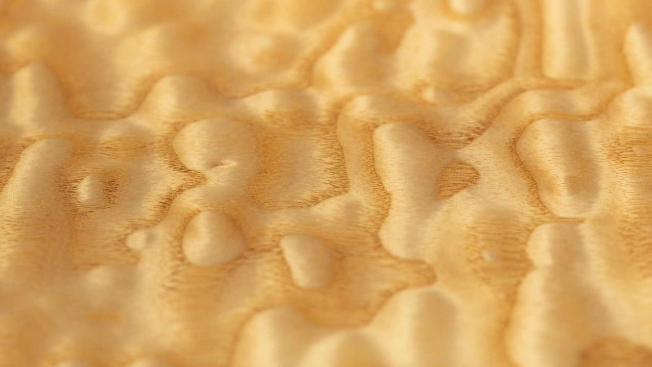 Bentayga Light Veneer Landscape Teasers.jpg